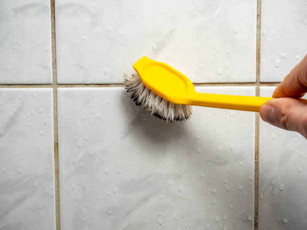 Trusted Hickory Hills, IL Mold Removal Experts