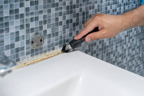 Best Mold Cleaning Services  in Hickory Hls, IL